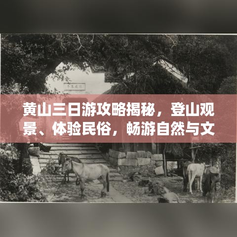 黃山三日游攻略揭秘，登山觀景、體驗民俗，暢游自然與文化的盛宴！