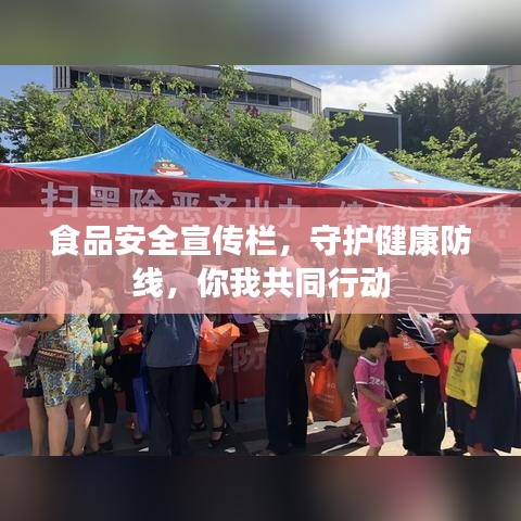 食品安全宣傳欄，守護健康防線，你我共同行動
