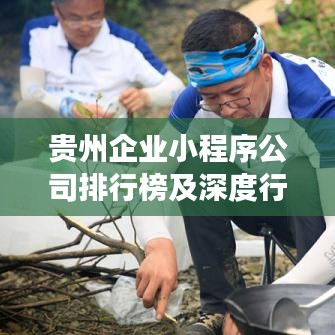 貴州企業(yè)小程序公司排行榜及深度行業(yè)洞察揭秘！
