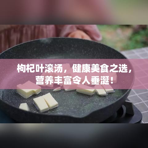 枸杞葉滾湯，健康美食之選，營養(yǎng)豐富令人垂涎！