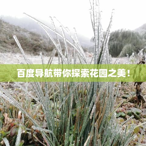 百度導(dǎo)航帶你探索花園之美！