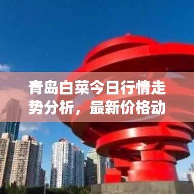 青島白菜今日行情走勢(shì)分析，最新價(jià)格動(dòng)態(tài)解讀
