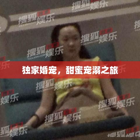 獨家婚寵，甜蜜寵溺之旅