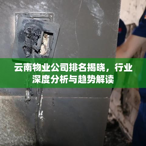 云南物業(yè)公司排名揭曉，行業(yè)深度分析與趨勢(shì)解讀