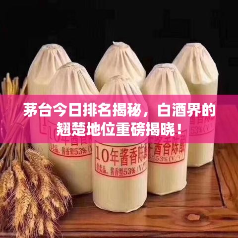 茅臺今日排名揭秘，白酒界的翹楚地位重磅揭曉！