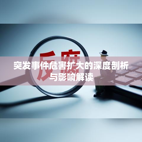 突發(fā)事件危害擴(kuò)大的深度剖析與影響解讀
