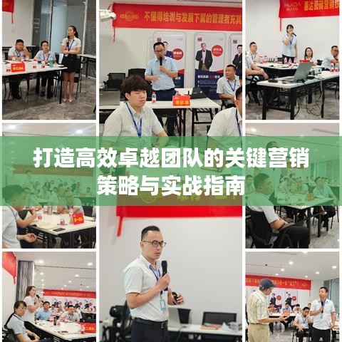 打造高效卓越團(tuán)隊(duì)的關(guān)鍵營(yíng)銷策略與實(shí)戰(zhàn)指南