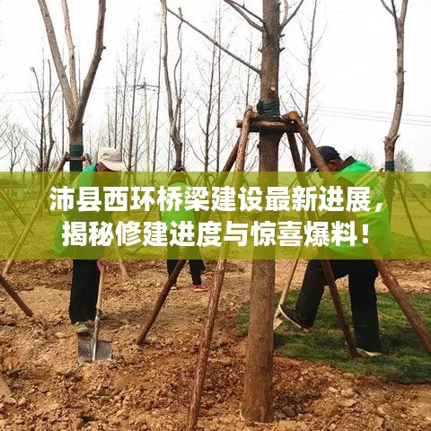 沛縣西環(huán)橋梁建設(shè)最新進(jìn)展，揭秘修建進(jìn)度與驚喜爆料！