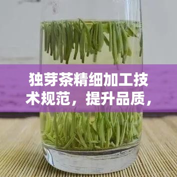 獨芽茶精細加工技術規(guī)范，提升品質，百度收錄必備指南