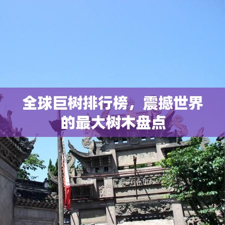 全球巨樹排行榜，震撼世界的最大樹木盤點(diǎn)