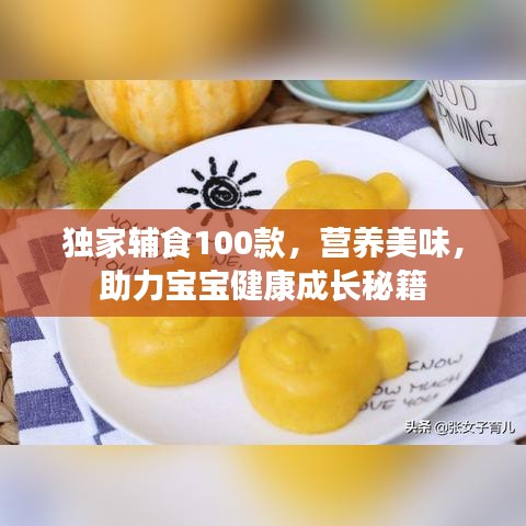 獨(dú)家輔食100款，營(yíng)養(yǎng)美味，助力寶寶健康成長(zhǎng)秘籍