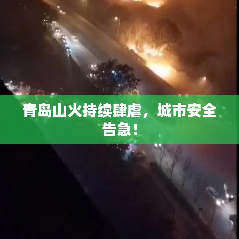 青島山火持續(xù)肆虐，城市安全告急！