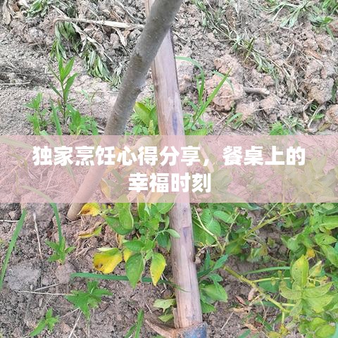 獨家烹飪心得分享，餐桌上的幸福時刻