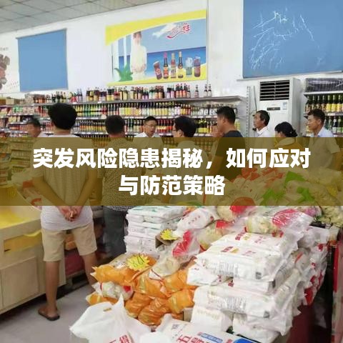 突發(fā)風(fēng)險(xiǎn)隱患揭秘，如何應(yīng)對(duì)與防范策略