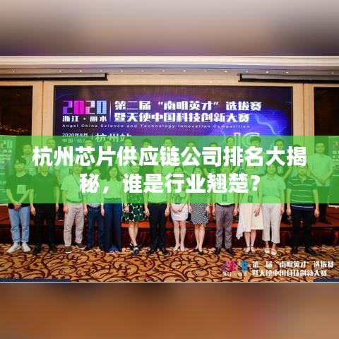 杭州芯片供應(yīng)鏈公司排名大揭秘，誰是行業(yè)翹楚？