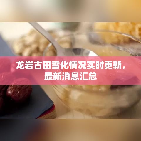 龍巖古田雪化情況實(shí)時(shí)更新，最新消息匯總