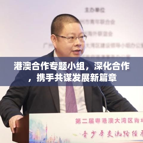 港澳合作專題小組，深化合作，攜手共謀發(fā)展新篇章
