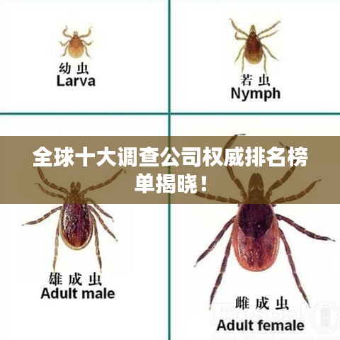 全球十大調(diào)查公司權(quán)威排名榜單揭曉！